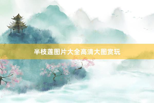 半枝莲图片大全高清大图赏玩